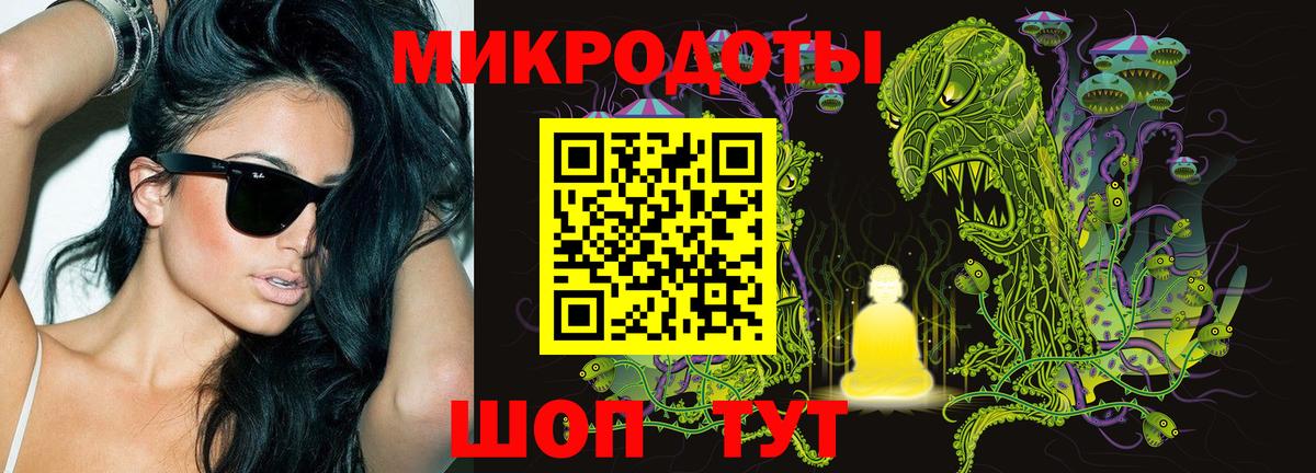 Псилоцибиновые грибы мицелий  Ишимбай  Псилоцибиновые грибы Psilocybe 